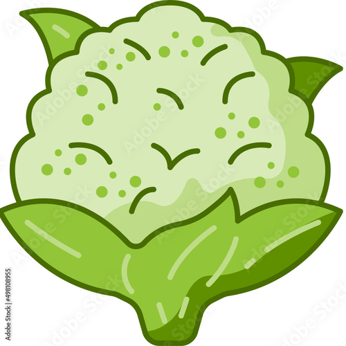cauliflower Two Tone icon