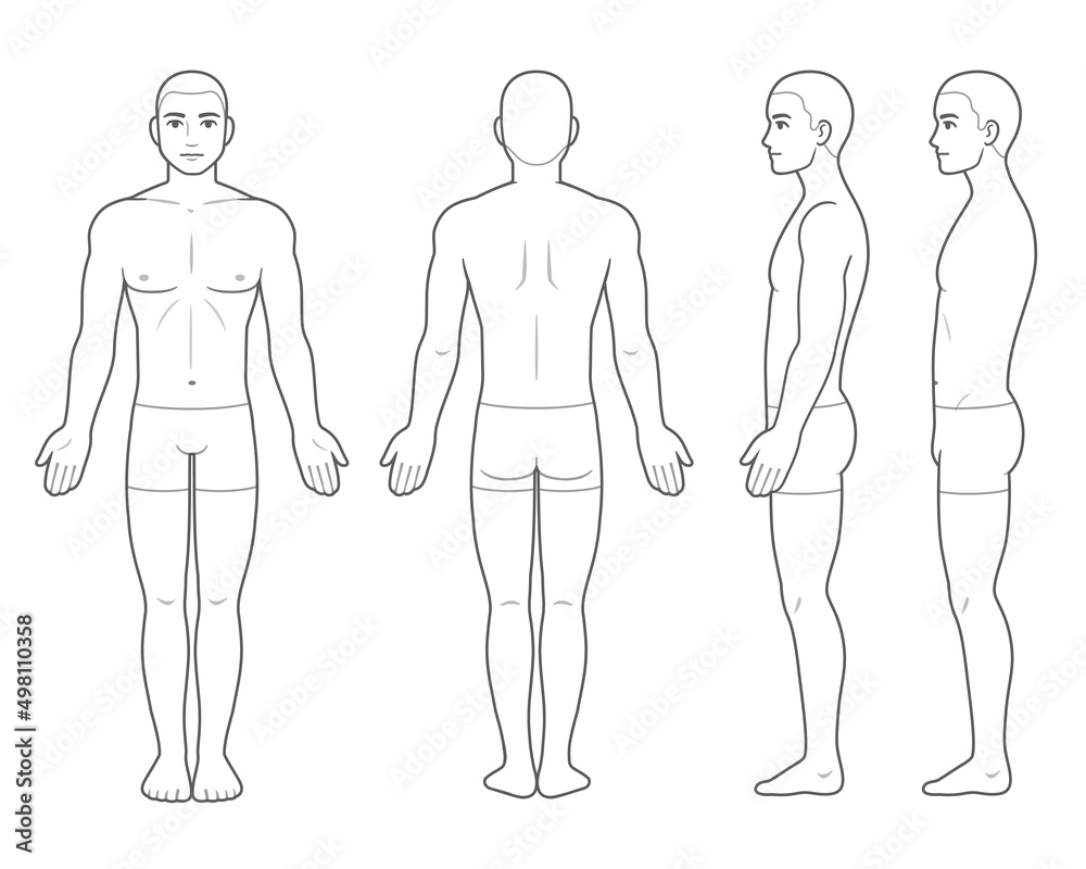 Male body chart template