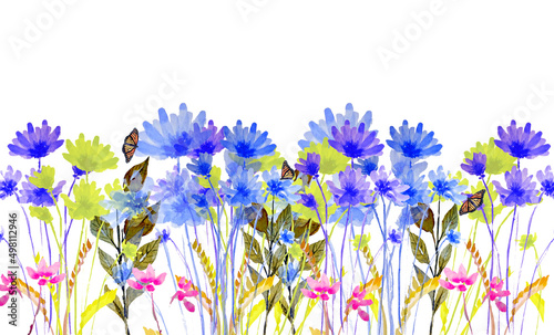 Fiori colorati, piante e farfalle. Sfondo di primavera isolato su bianco