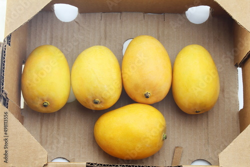 fresh ripe yellow mango fruit in corrugated box isolated  photo