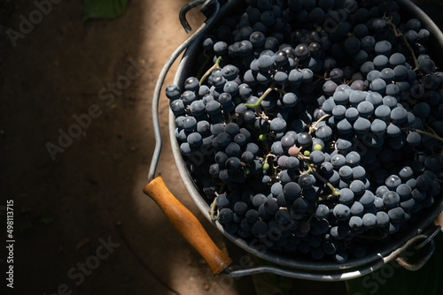 Valokuva Harvesting