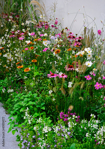 łąka kwietna, flower meadow, kolorowe kwiaty, rudbekie, jeżówki, trawy, zawilce japońskie (echinacea purpurea, anemone scabiosa, gaura lindheimeri, stipa tenuissima)