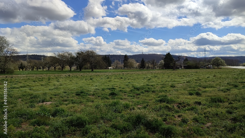 Durlach Aue Felder im Frühling blühende Bäume Durlach Aue Felder im Frühling blühende Bäume
