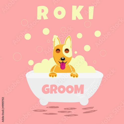 Dog in bath with foam for grooming salon