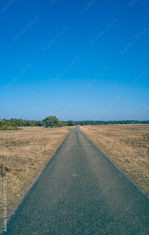 Fototapeta premium road in the countryside