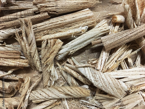 Hand plane shavings of English elm wood on workbench photo