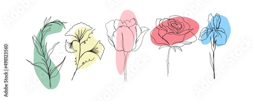 line art drawing of flowers. big set of line art of flowers and plants .minim...