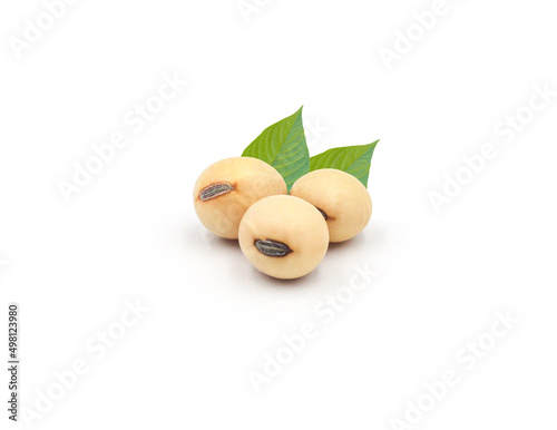 soybean seeds with leaves isolated on white background