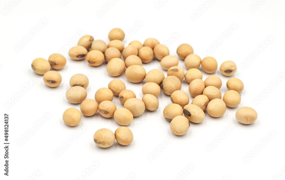 soybean seeds isolated on white background soybean seeds isolated on white background
