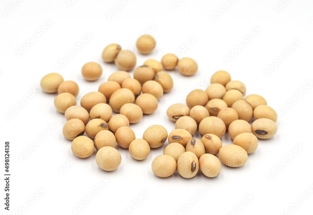 soybean seeds isolated on white background soybean seeds isolated on white background