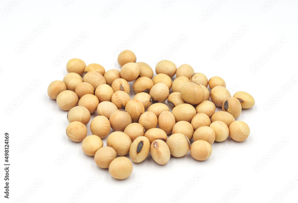 soybean seeds isolated on white background soybean seeds isolated on white background