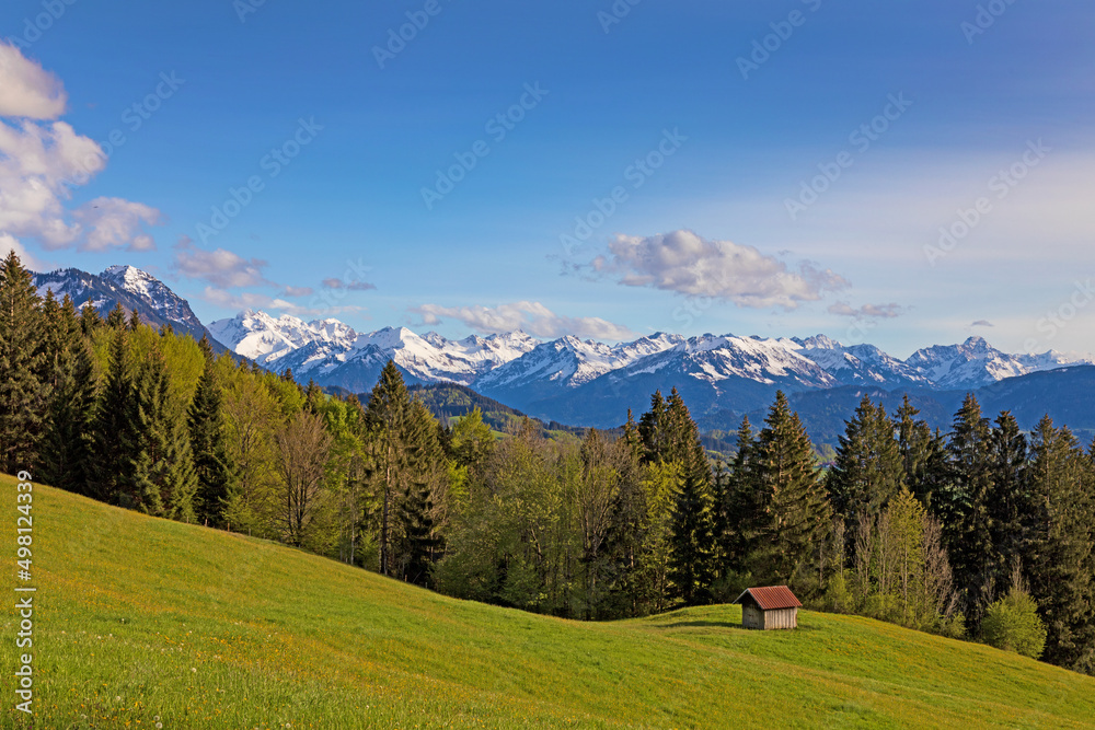 Obraz premium Allgäu - Berge - Frühling - Stadel - malerisch - Alpen