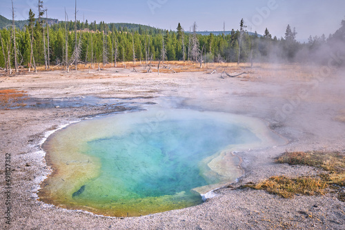 Hot Pool with prismatic colors. Dead trees in the background. Yellowstone