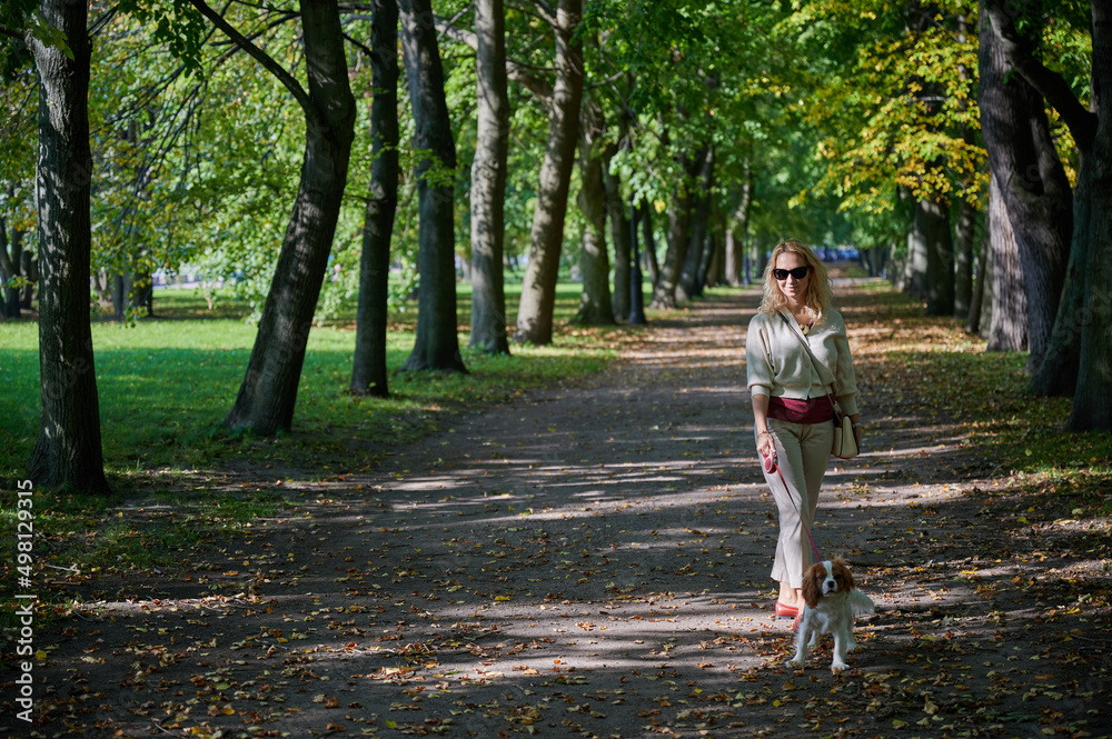 young blonde woman in light casual clothes walks with a Cavalier King Charles Spaniel dog in the historical center of the small town of Kronstadt on a sunny fine day along the cobblestones