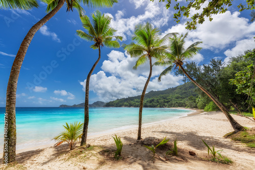 Paradise beach. Coco palms in tropical white sand beach and the turquoise sea on Caribbean island. 