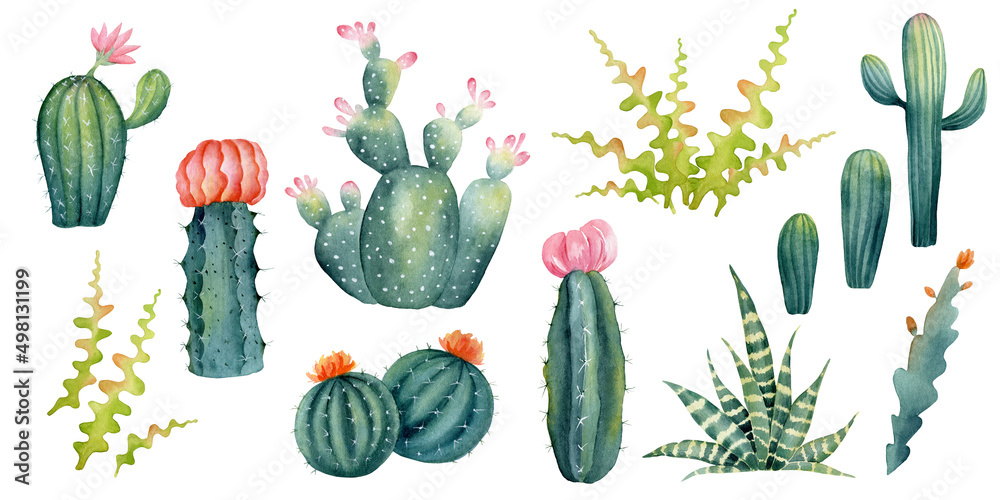 Watercolor cactus and succulent set. Hand painted exotic plant. Mexican flowers. Illustration of houseplant for sticker, home decor. Watercolor cactus and succulent set. Hand painted exotic plant. Mexican flowers. Illustration of houseplant for sticker, home decor.