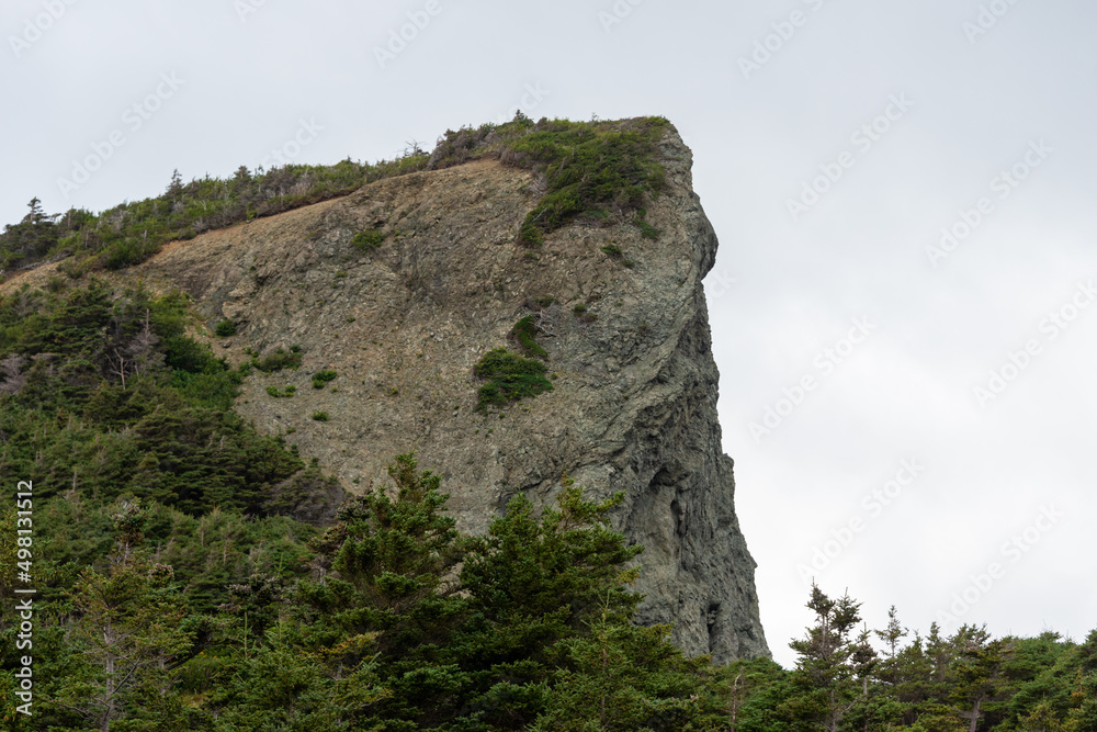 An upward view of a large steep rocky mountain covered in evergreen trees at the base of the hill. The rock face is a flat cliff with a long drop. The background is a grey cloudy sky. An upward view of a large steep rocky mountain covered in evergreen trees at the base of the hill. The rock face is a flat cliff with a long drop. The background is a grey cloudy sky.