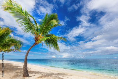Fototapeta Naklejka Na Ścianę i Meble -  Palm trees in sandy beach in tropical island and turquoise sea
