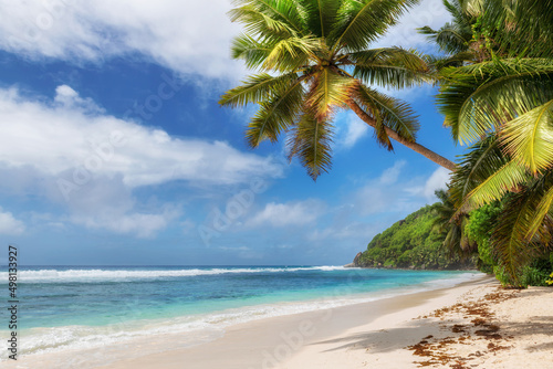 Palm trees in sandy beach in tropical island and turquoise sea 