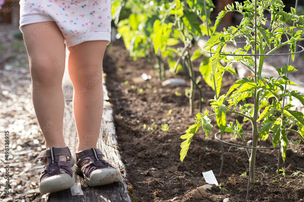 Girl playing in Garden Girl playing in Garden