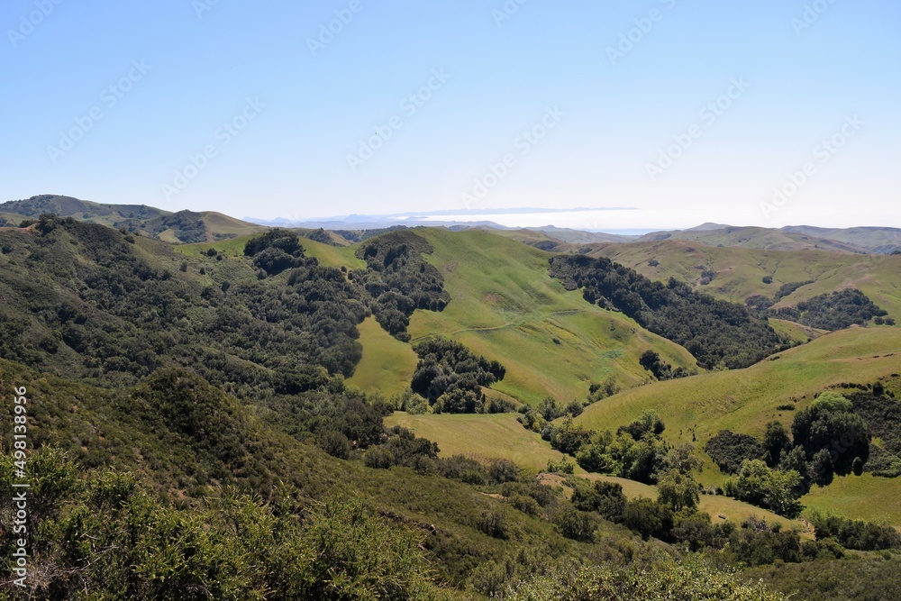 Naklejka premium Green Hills Near Pacific Ocean