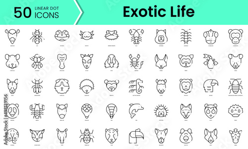 Set of exotic life icons. Line art style icons bundle. vector illustration photo