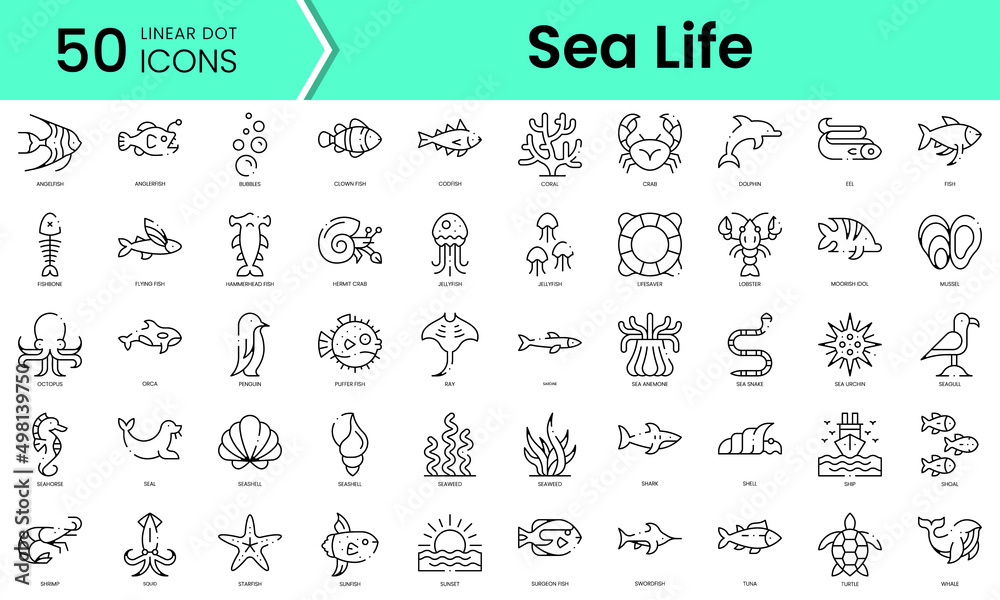 Set of sea life icons. Line art style icons bundle. vector illustration