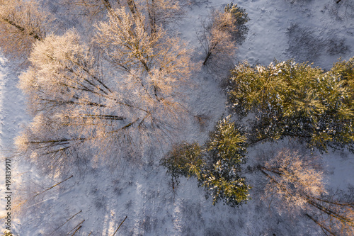 Aerial view of winter forest. Snowy naked trees. Beautiful nature. © Aleks Kend
