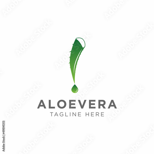 Aloe vera plant logo design. Herbal plant and fall vector design. Aloe vera gel logotype