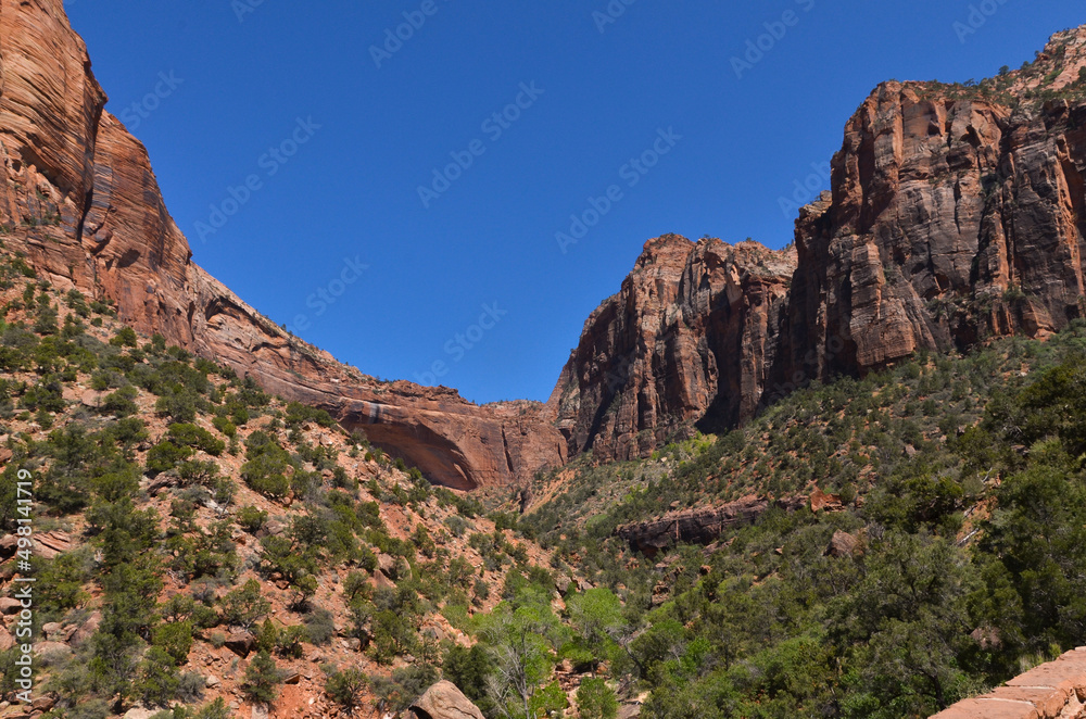 Great Arch and Pine Gorge scenic view (Zion National Park, UT) 