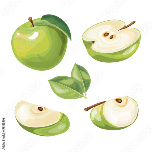 Set of green apples fruit with leaf in vector and various styles