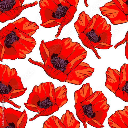 seamless-pattern-with-hand-drawn-wild-red-poppy-flowers-isolated-on-white-background