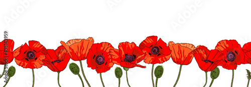 Horizontal seamless border with hand drawn red poppy flowers isolated on white background.