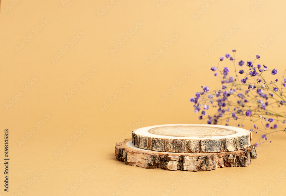 Two wooden discs folded in the form of a podium and a sprig of gypsophila on a beige background for the presentation of the product. Copy space Two wooden discs folded in the form of a podium and a sprig of gypsophila on a beige background for the presentation of the product. Copy space