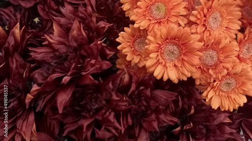 decorative flowers in different combinations, colored  photo