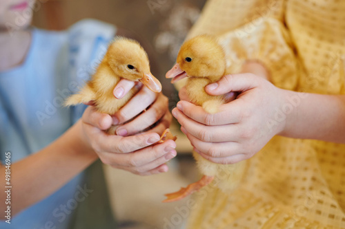Easter ducklings, in their hands, against the background of the colors of the Ukrainian flag