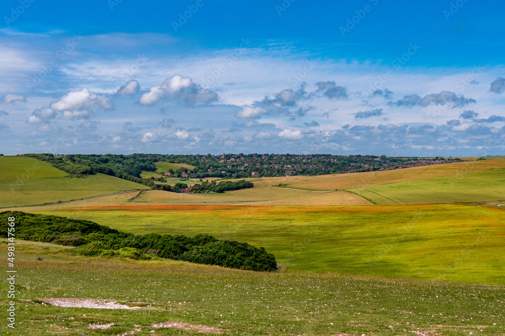Buntes Feld in schöner Landschaft Buntes Feld in schöner Landschaft