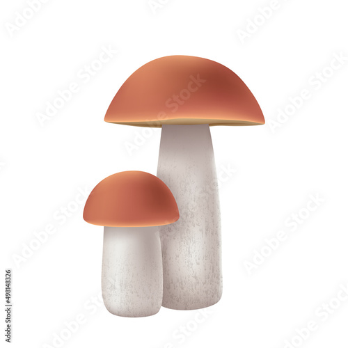 3d cep forest mushroom. Realistic fungi, pocrini or boletus with brown cap and white stem isolated