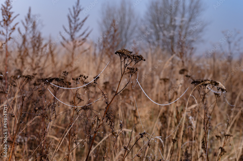landscape on dry grass lies frost in autumn. High quality photo
