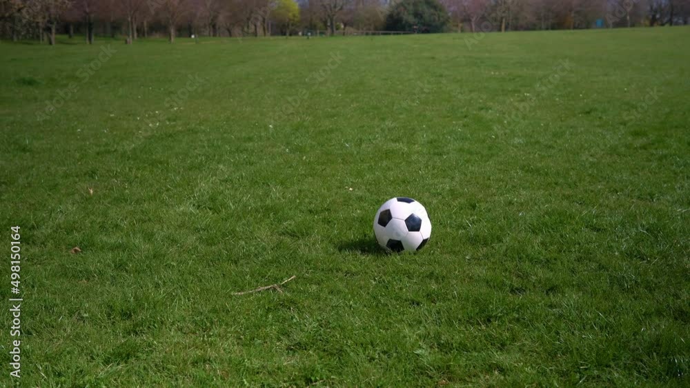 Panorama Wide Shot Black White Classic Soccer Ball On Green Grass. Happy Family Of Children Having Fun In Spring Park. People Playing Football. Sport, Healthy Life, Championship, Competitions Concept Panorama Wide Shot Black White Classic Soccer Ball On Green Grass. Happy Family Of Children Having Fun In Spring Park. People Playing Football. Sport, Healthy Life, Championship, Competitions Concept