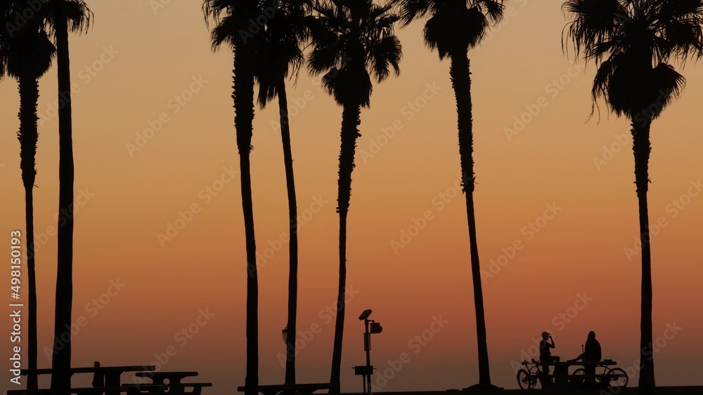 Orange sky, silhouettes of palm trees on beach at sunset, California coast, USA. Bicycle or bike in beachfront park at sundown in San Diego, Mission beach vacations resort on shore. People walking.