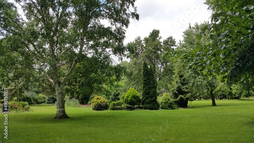 Park im grünen mit Bäumen