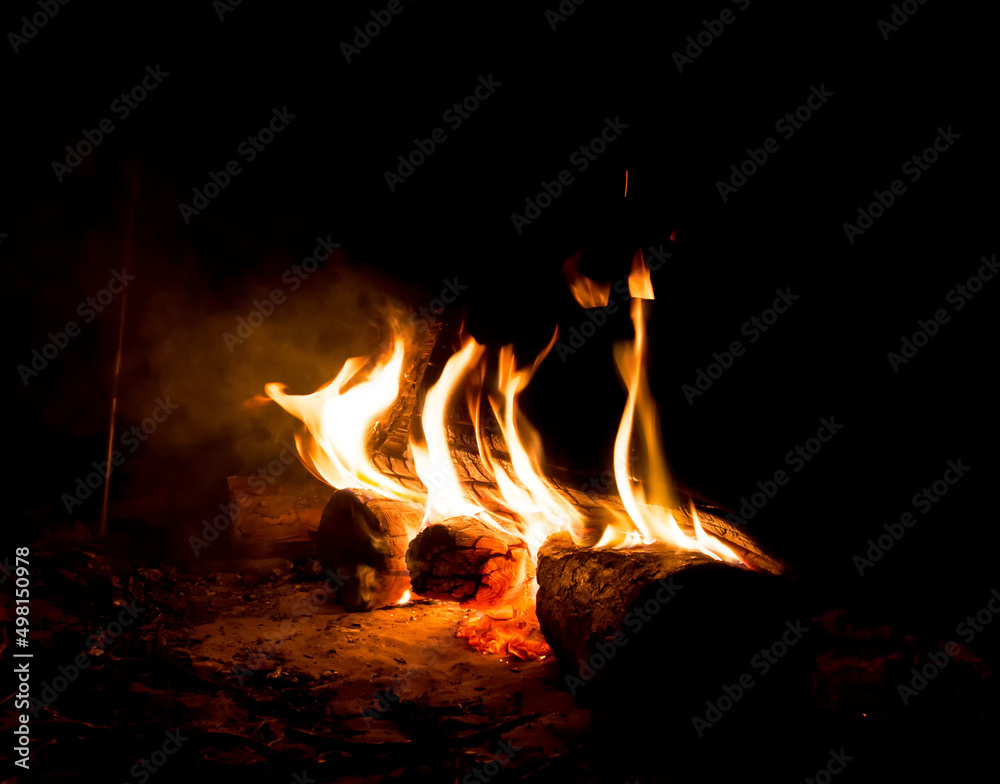 Romantic fire burns in the forest in a fire Romantic fire burns in the forest in a fire
