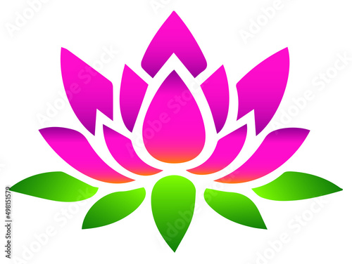 pink lotus flower