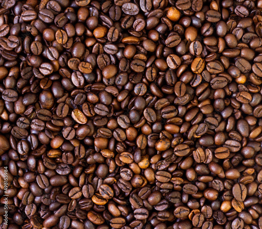 Fototapeta premium Coffee background. Pile of freshly roasted coffee beans.