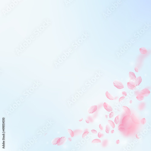 Sakura petals falling down. Romantic pink flowers corner. Flying petals on blue sky square background. Love, romance concept. Sublime wedding invitation.
