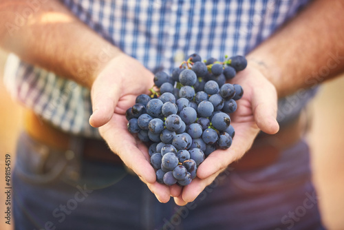 Not many knows the secret behind growing them this good. Cropped shot of a man holding a bunch of grapes from his vineyard.