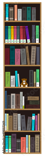 many books on the bookshelf vector illustration