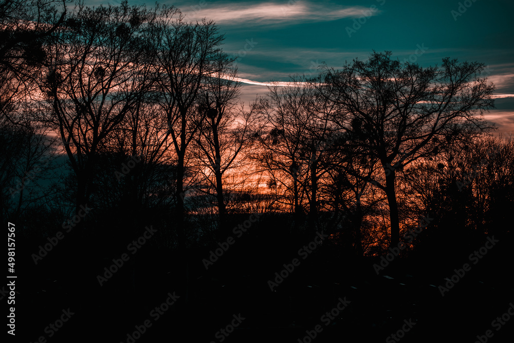 Sonnenuntergang mit Silhouetten von Bäumen Sonnenuntergang mit Silhouetten von Bäumen