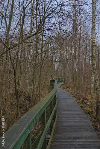 wooden bridge across the swamp, recreational path